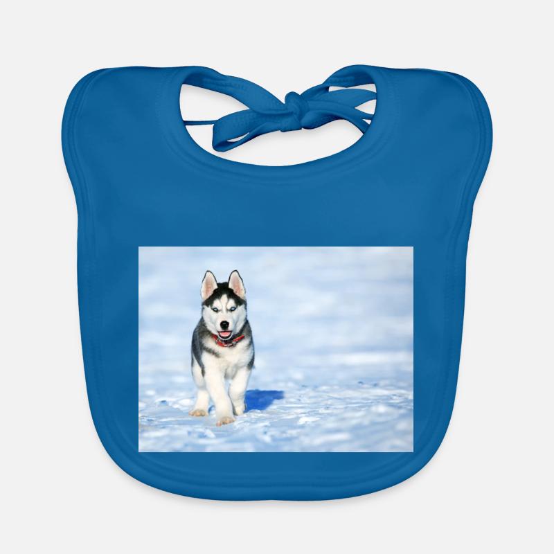 Chiot husky dans la neige - Bavoir bio Bébé - bleu paon
