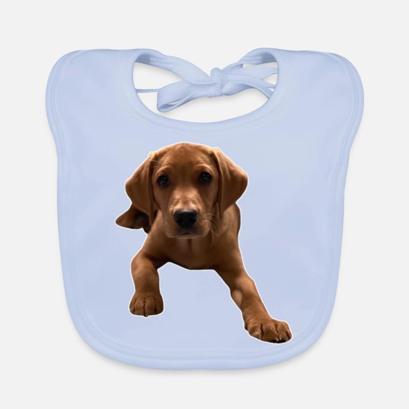 Vers le bas Dexter Bavoir bio Bébé