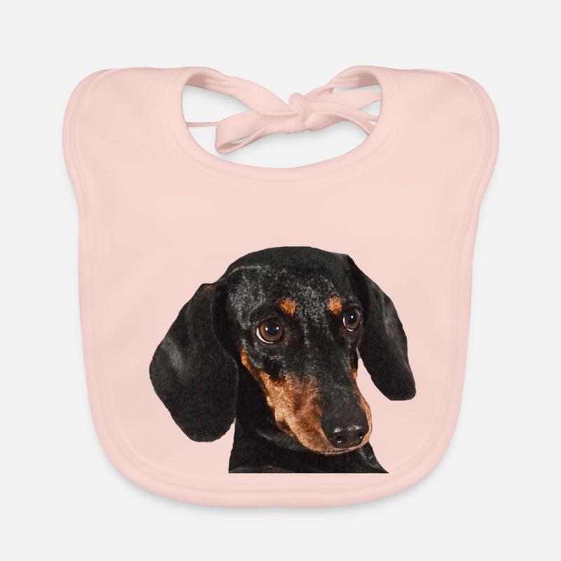 teckel Bavoir bio Bébé