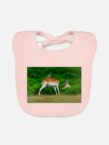 Fallow 2 - Organic Baby Bibs - rose - Front