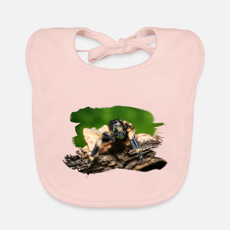 phidippus otiosus jumping spider, spring spinne Baby Bio-Lätzchen