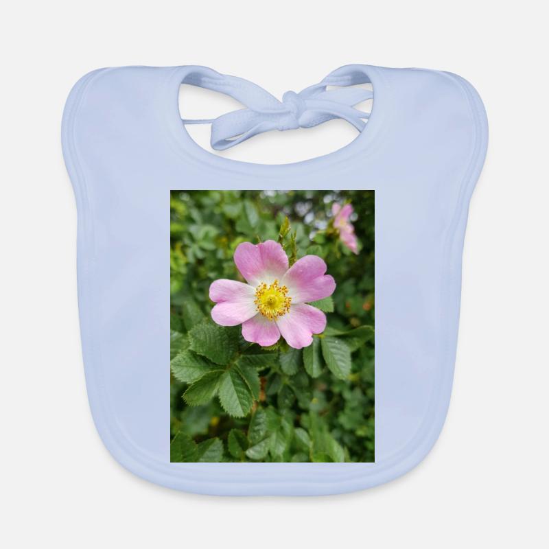 bruyère douce aussi églantine rose Weinrose Bavoir bio Bébé