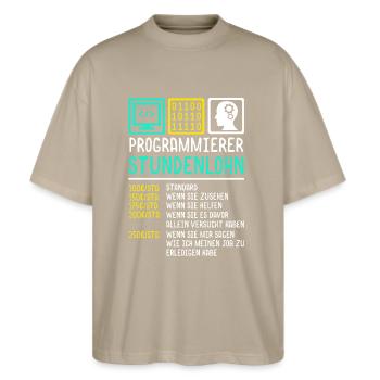 Programmierer - Stanley/Stella Oversized Unisex Bio T-Shirt Blaster 2.0 - Steingrau - Vorne - Alina (178cm) & Michal (187cm)