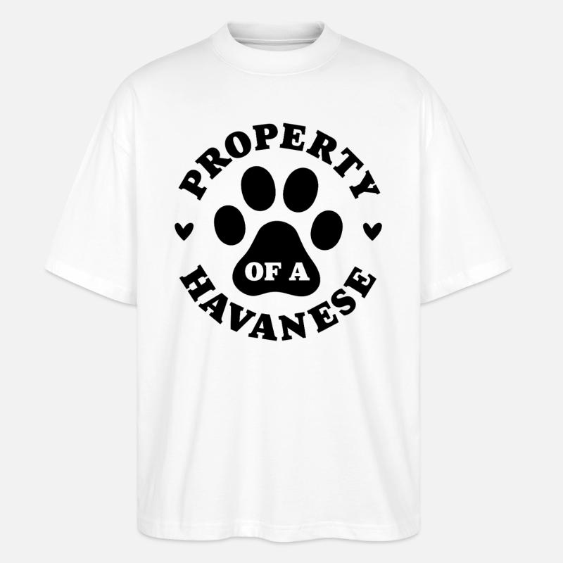 Eigentum eines Havanesers - Stanley/Stella Oversized Unisex Bio T-Shirt Blaster 2.0 - Weiß