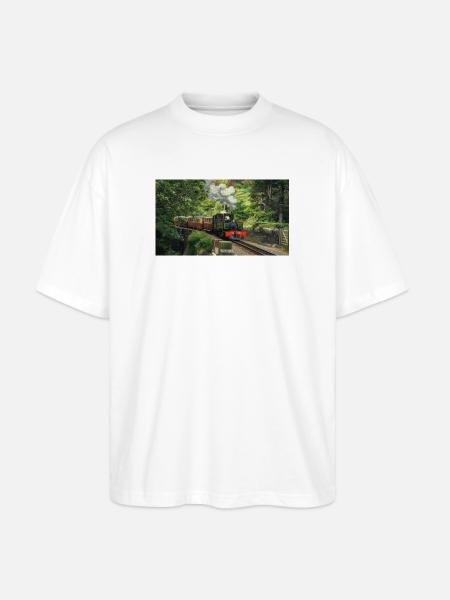 Ffestiniog Idyll - Stanley/Stella Oversized Unisex Organic T-shirt Blaster 2.0 - white