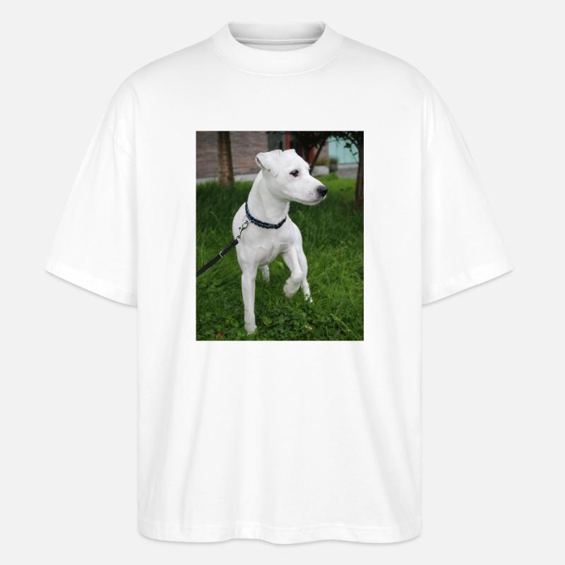 image00004 - Stanley/Stella Oversized Unisex Organic T-shirt Blaster 2.0 - white