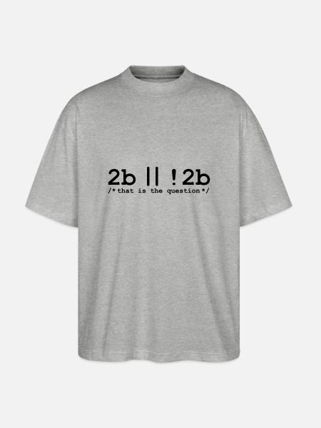 2b or not 2b - Stanley/Stella Oversized Unisex Bio T-Shirt Blaster 2.0 - Grau meliert