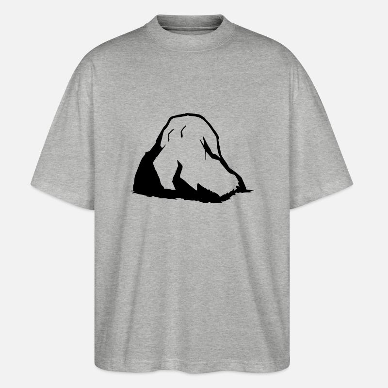 Boulder - Stanley/Stella Oversized Unisex Bio T-Shirt Blaster 2.0 - Grau meliert