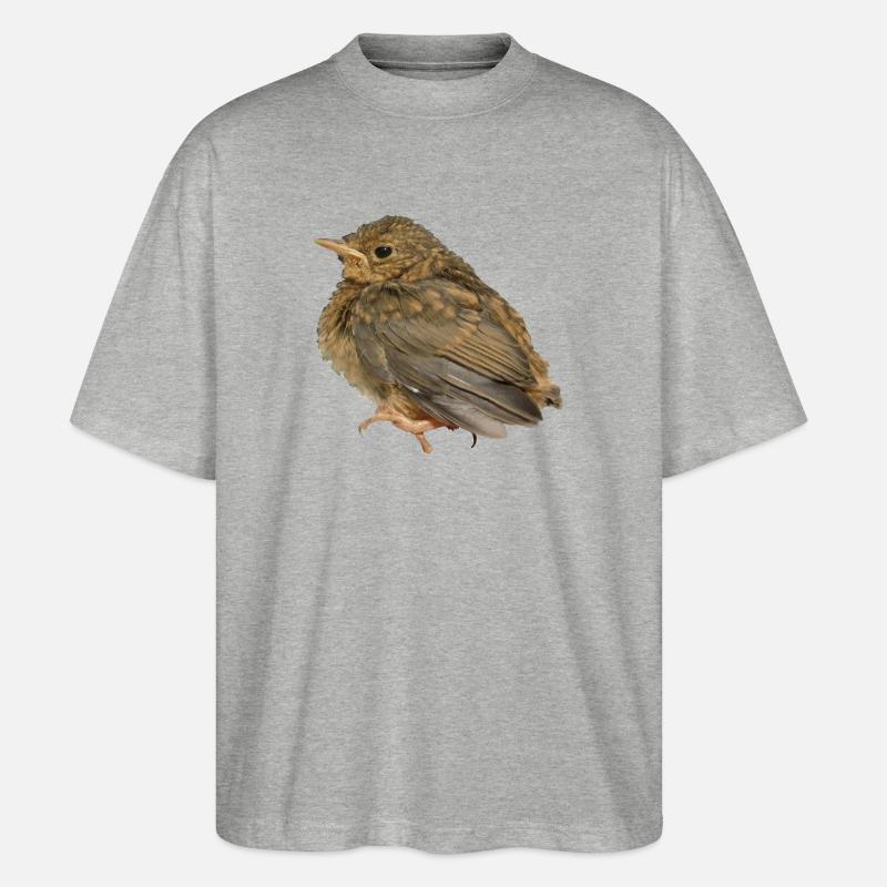 Robin Branch - Stanley/Stella Oversized Unisex Organic T-shirt Blaster 2.0 - heather grey