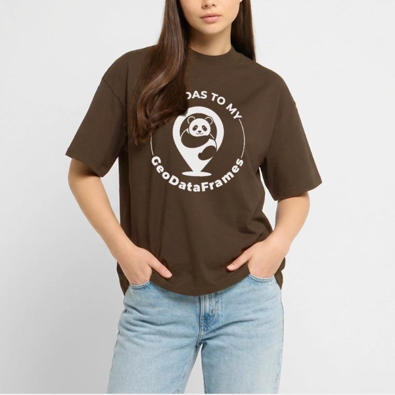 GeoDataFrames Pandas GIS Programmation Python T-shirt bio Blaster 2.0 coupe oversize Stanley/Stella Unisexe