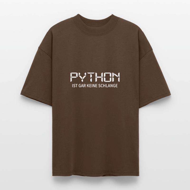 nerd python-coder server download programmieren Stanley/Stella Oversized Unisex Bio T-Shirt Blaster 2.0