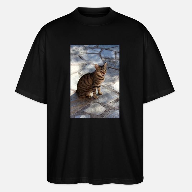 Katze Kätzchen - Stanley/Stella Oversized Unisex Bio T-Shirt Blaster 2.0 - Schwarz