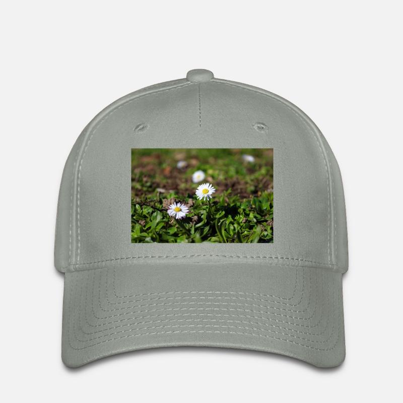 Gänseblümchen - Flexfit Cap - Grüngrau