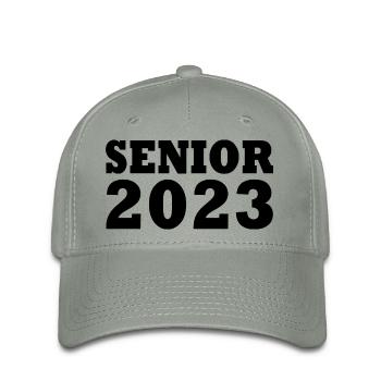 Senior 2023 - Casquette Flexfit - gris vert - Devant