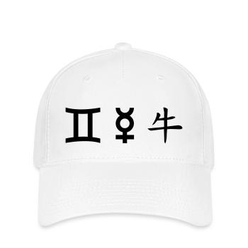 Gemini Gemini Mercury Ox - Flexfit Cap - white - Front