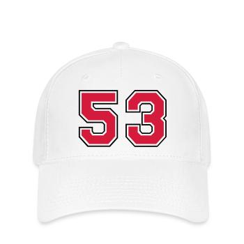 53__f2 - Flexfit Cap - Weiß - Vorne