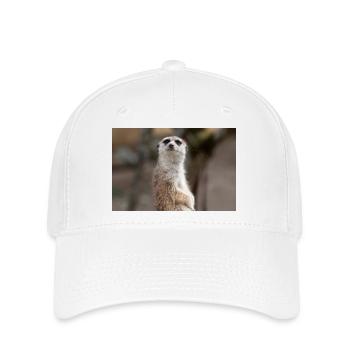 Meerkat (in german Erdmännchen) Suricata suricatta - Flexfit Cap - white - Front