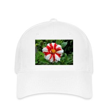 Dahlie weiß rot Blüte ,Blume - Flexfit Cap - Weiß - Vorne