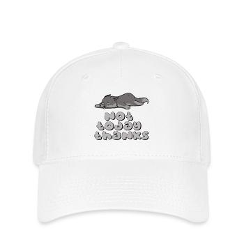 Heute nicht, danke - Flexfit Cap - Weiß - Vorne