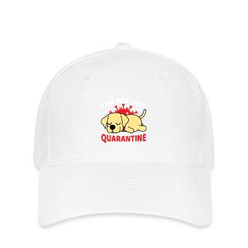 Chien mignon avec motif de quarantaine - Casquette Flexfit - blanc - Devant