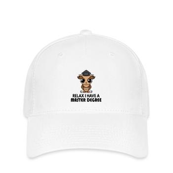 Master Saying - Flexfit Cap - white - Front