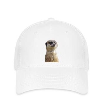 Meerkats photo - Flexfit Cap - white - Front