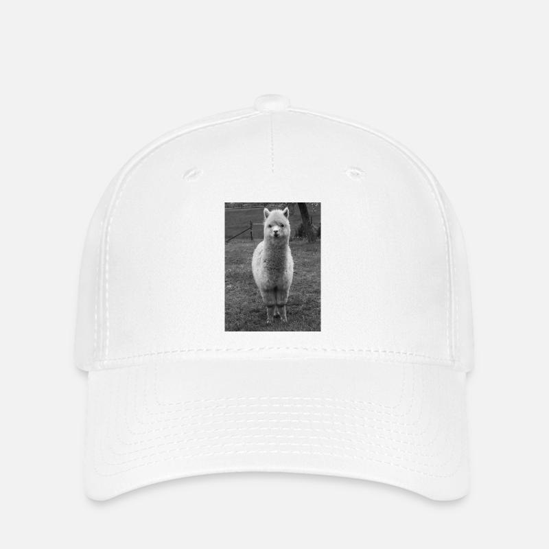 alpaga - Casquette Flexfit - blanc