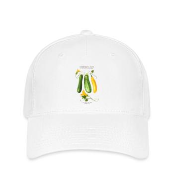 LE GROUPE DE PLANTES - Cucurbita Pepo - Casquette Flexfit - blanc - Devant