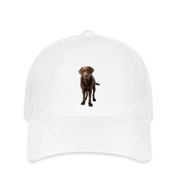 Brauner Labrador Comic Styl - Flexfit Cap - Weiß - Vorne