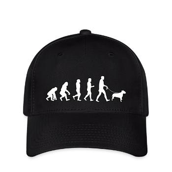 EVOLUTION Labrador - Flexfit Cap - black - Front