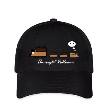 Igel-Follower - Flexfit Cap - Schwarz - Vorne