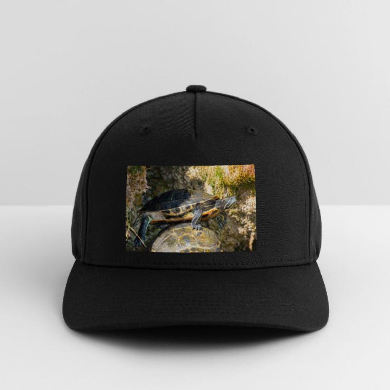 Trachemys scripta scripta scripta Casquette Flexfit