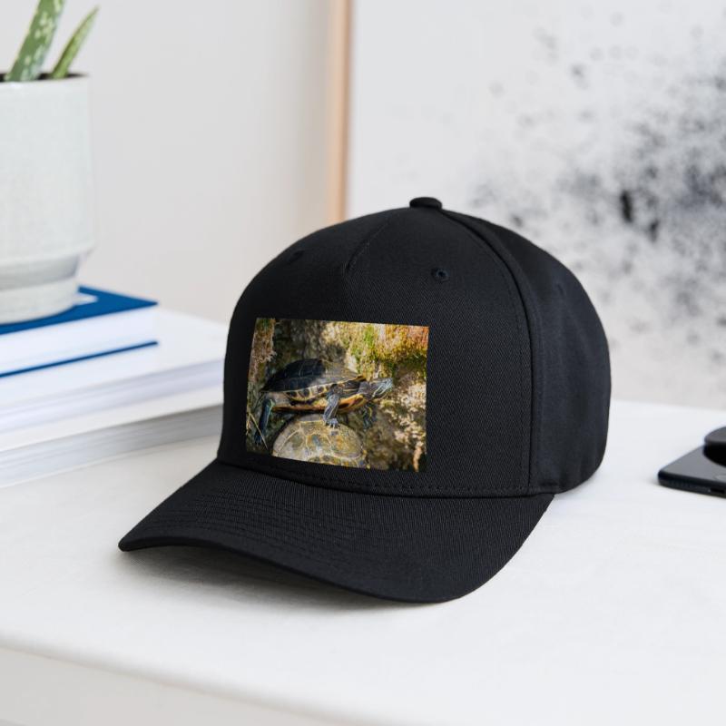 Trachemys scripta scripta scripta Casquette Flexfit
