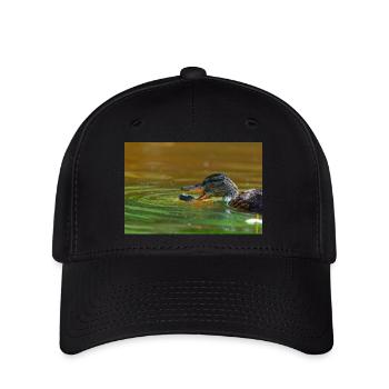 000 1237 DxO - Flexfit Cap - black - Front