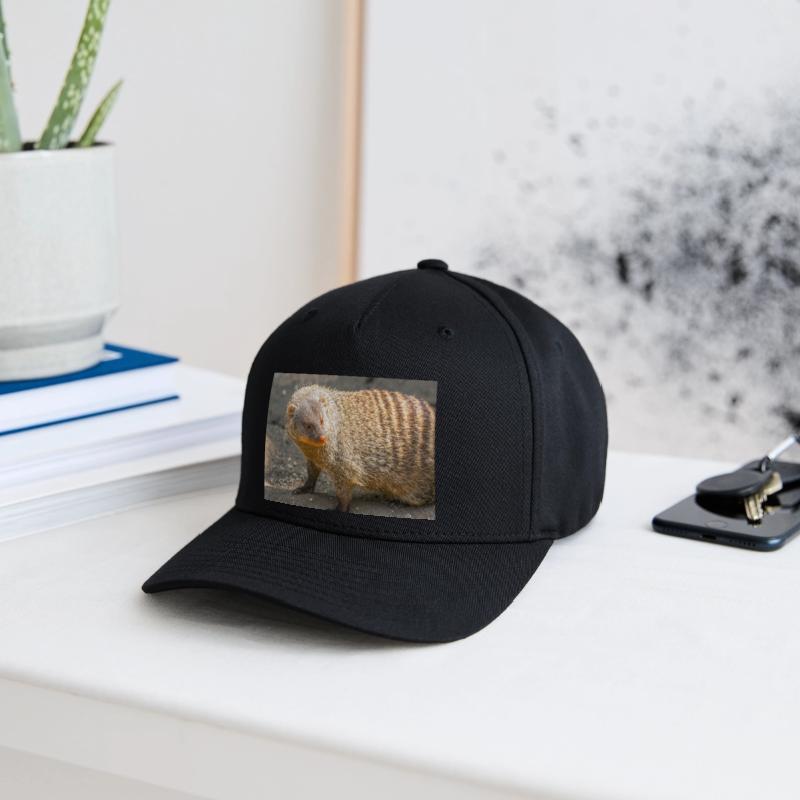 Flexfit Cap