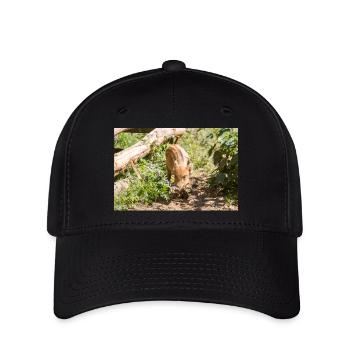Wildschwein Sus scrofa - Flexfit Cap - Schwarz - Vorne
