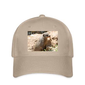 Meerkat (Suricata suricatta, Erdmännchen) - Flexfit Cap - khaki - Front