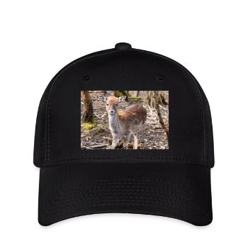 Fallow Deer (in german Damwild or Damhirsch) Dama - Flexfit Cap - black - Front