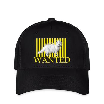 Wanted Punk katze auf gelben Streifen - Flexfit Cap - Schwarz - Vorne