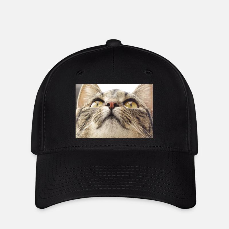 Visage de chat Minka - Casquette Flexfit - noir