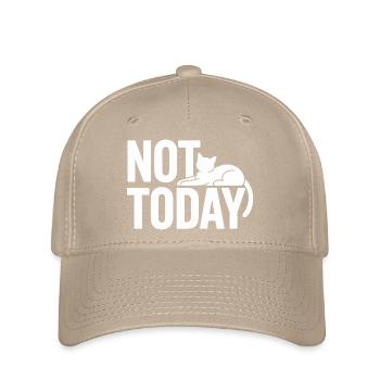Katzen Spruch Not Today Büro Cat Homeoffice Katze - Flexfit Cap - Khaki - Vorne