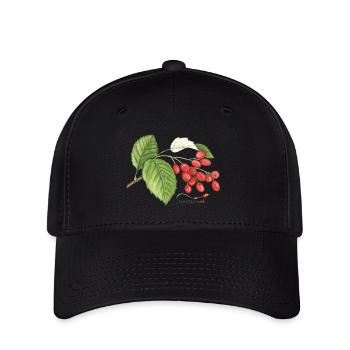 Echte Mehlbeere (Sorbus aria) - Flexfit Cap - Schwarz - Vorne