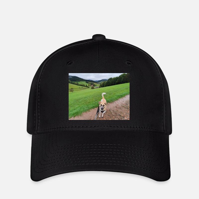 Atemberaubende Natur mit Hund - Flexfit Cap - Schwarz