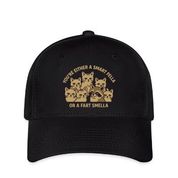 Vous êtes soit un gars intelligent, soit un pet Smella Mème - Casquette Flexfit - noir - Devant