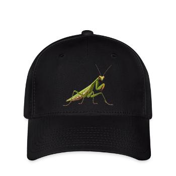 Gottesanbeterinnen Gottesanbeterin - Flexfit Cap - Schwarz - Vorne