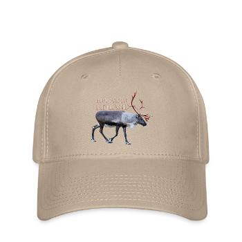 Kuusamo - Flexfit Cap - khaki - Front