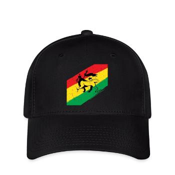 Lion rasta devant un drapeau tricolore - Casquette Flexfit - noir - Devant