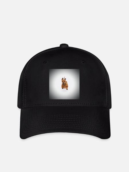 Brauner Dackel - Flexfit Cap - Schwarz