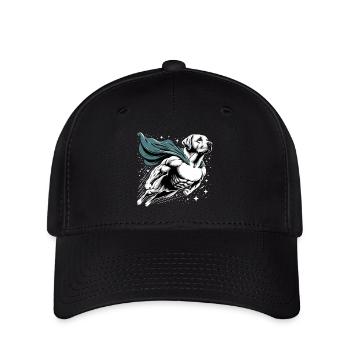 Super Hund Labrador Retriever Labi Labbi Geschenk - Flexfit Cap - Schwarz - Vorne