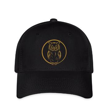 Owl Graphic Owl Graphic - Flexfit Cap - black - Front
